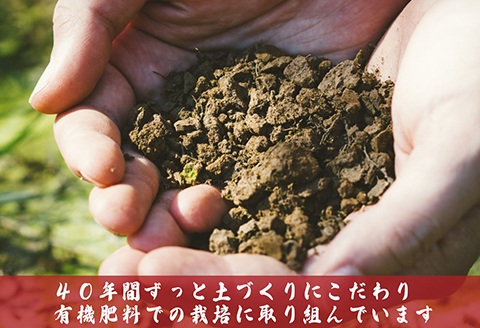 J8-7S051新潟県長岡産　新之助　5kg