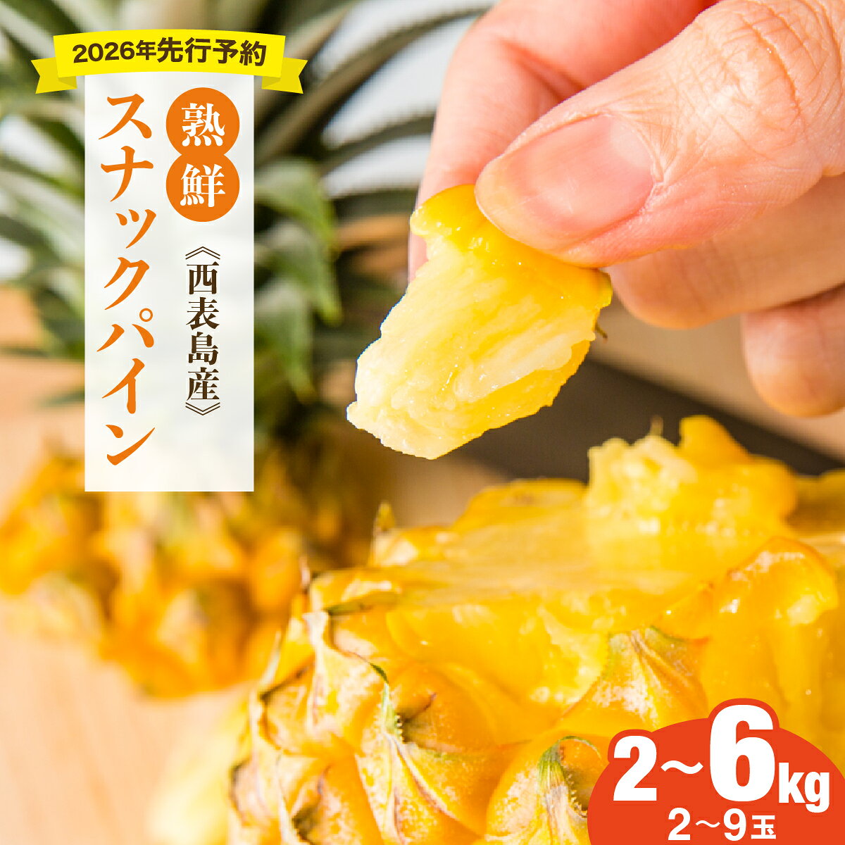【ふるさと納税】＜選べる内容量＞【手でちぎって食べる楽しさ】熟鮮スナックパイン2kg（2～3玉）/6kg（5～9玉）2026年 先行予約　沖縄　西表島