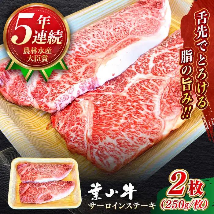 葉山牛 500g　サーロインステーキ ／ サーロイン [ASBD008]