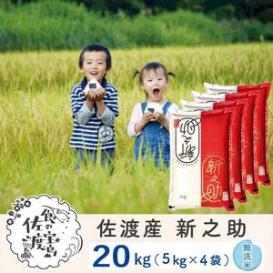 佐渡島産 新之助 無洗米20kg(5kg×4袋）令和7年産 【食の宝島佐渡】
