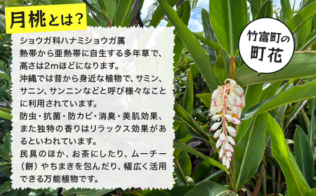 月桃かご編みバッグ(小)