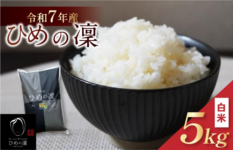 
            【令和7年産】【2025年11月10日から順次発送】今治産 米（ひめの凜）5kg【VB01580】米 お米 コメ おこめ 白米 精米 ごはん ご飯 ひめの凜 愛媛県産 今治産 新米
          
