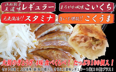 【定期便3回】浜松餃子 大須のぎょうざ［ 浜松ぎょうざ 贅沢バラエティーセット 4味 ＜ レギュラー、こいくち、スタミナ、こくうま ＞］× 5袋（1袋20個入、合計100個） 