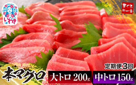 【定期便/計3回】本マグロ大トロ中トロセット350g（計1050g）【DG012-t3】