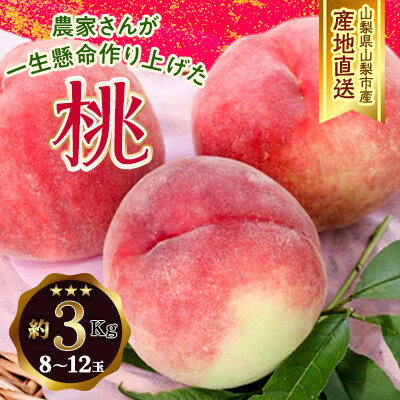 【ふるさと納税】【2025年先行予約】山梨県山梨市産 桃 約3kg(8～12玉)【配送不可地域：離島】【1561140】