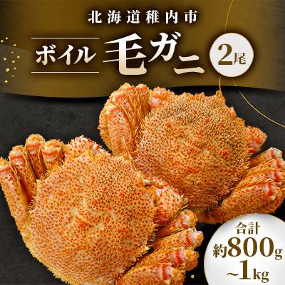 ふるさと納税 稚内市 【2025製造】北海道産稚内加工ボイル毛ガニ2尾(1尾約400g〜500g×2)合計800g〜1k