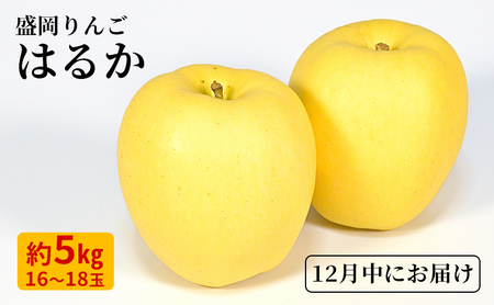 はるか りんご 5kg 18個 12月限定下久保農園 shitakubo005