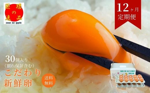 【定期便12回】九十九里ファームこだわりたまご贈答用30個～あおい海・みどりの里～《赤玉》 ／ たまご 卵 玉子 タマゴ 生卵 卵かけご飯 鶏卵 30個 定期便