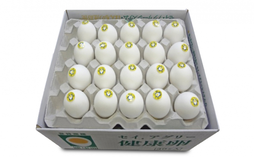 
セイアグリー健康卵 40個入り たまご 玉子 鶏卵 セット [№5616-0096]
