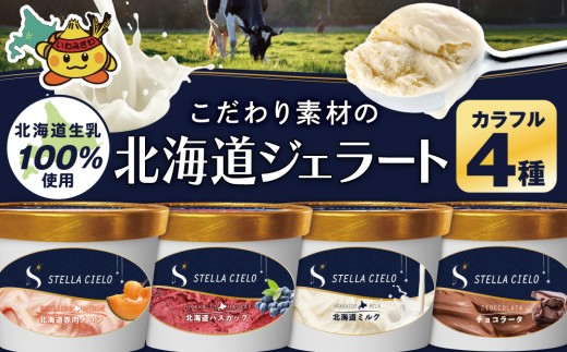 STELLA CIELO 北海道ジェラート4個 カラフル | 北海道ミルク チョコラータ 北海道赤肉メロン 北海道ハスカップ カラフル