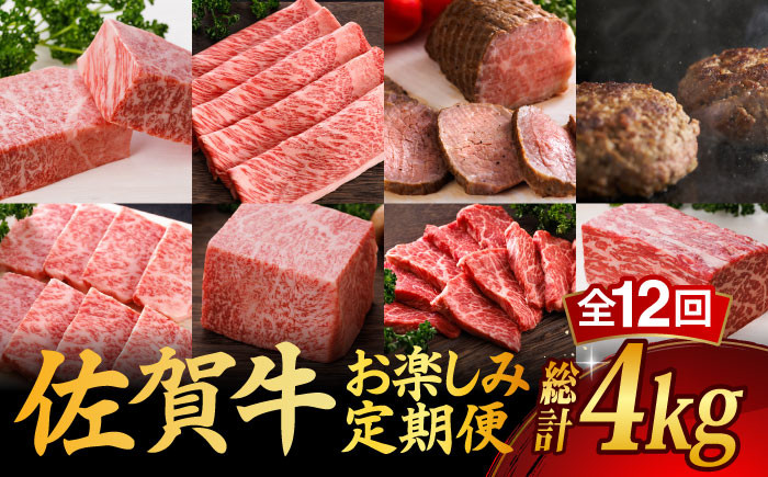 
【全12回】 A5ランク 佐賀牛 霜降り 食べ比べ 定期便 約2人前 総計4kg 20万 /焼肉どすこい [UCC002] 最高級 牛肉 肉 ステーキ スライス ローストビーフ ハンバーグ
