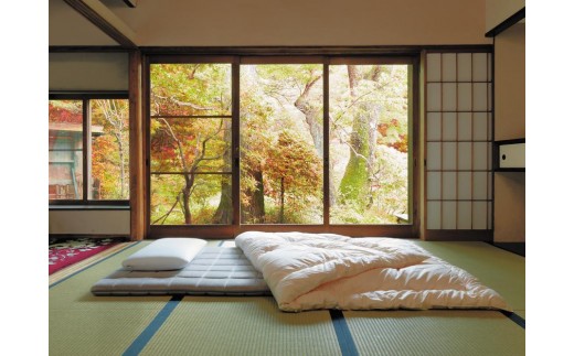 エアウィーヴ 四季布団 シングル 【 エアウィーブ 敷布団 寝具 有名 敷き布団 エアウィーヴ 通気性 エアウィーヴ 布団 洗える エアウイーヴ エアーウィーヴ ギフト 敷布団 エアウィーブ しんぐ ふとん airweave エアウィーブ敷きふとん エアウィーヴ エアウィーヴ エアウィーヴ エアウィーブ エアウィーブ 敷布団 】