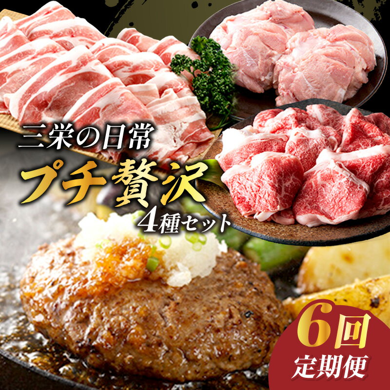【ふるさと納税】三栄の日常プチ贅沢セット（6回定期便） 999-J892