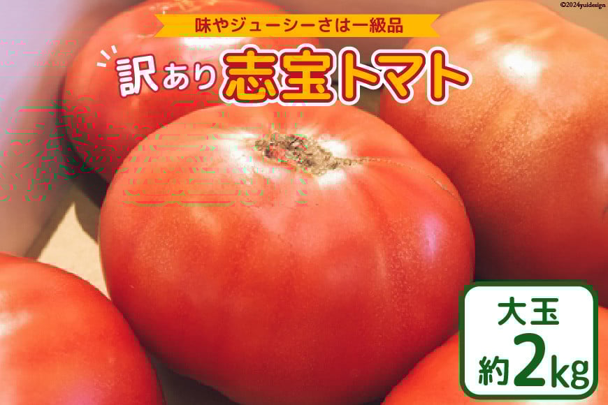 
            【 訳あり 】志宝トマト 大玉 約 2kg [モアショップヤマモト 石川県 宝達志水町 38601138] トマト とまと 不揃い 規格外 野菜 食品 石川県産
          