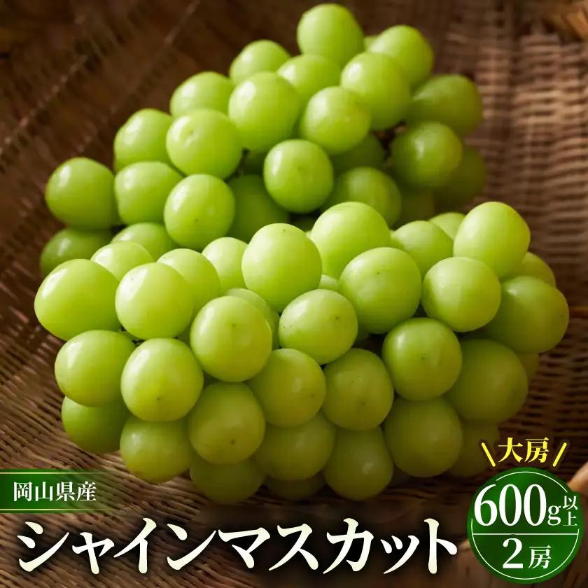 岡山市　一宮産　シャインマスカット　大房　600g以上×2房入り　化粧箱入り【配送不可地域：離島】【1726293】