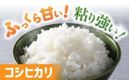 コシヒカリキューブ無洗米2合[300g×6個] 滋賀県長浜市/阿辻農園[AQAW009]