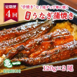 定期便 4ヶ月 国産 うなぎ 鰻 蒲焼 蒲焼き うなぎ かば焼き120g 2本 土用 丑の日 老舗 亀一 うなぎ 特製 タレ 真空パック ひつまぶし うなぎ ギフト 贈答 冷凍 お取り寄せ うなぎ お祝い