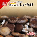 【ふるさと納税】訳あり しいたけ 佐賀県産 箱生しいたけ 約800g 訳アリ 椎茸 きのこ　鳥栖市