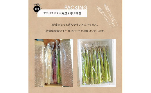 生で食べれる ? アスパラガス 2色 セット（ グリーン ・ パープル  ）約 1.1kg ｜ 野菜 アスパラ ソムリエ 新鮮 健康 熊本県産 熊本 玉名 くまもと たまな