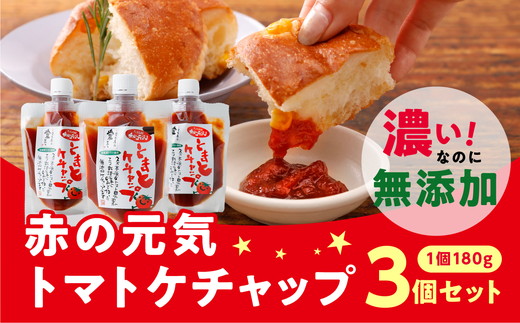 トマトケチャップ（180g×3個セット 計540g）｜ 完熟トマト 詰め合わせ 個包装 トマト とまと ケチャップ トマトケチャップ アレンジ アレンジ料理 万能 保存料不使用 完熟トマト 完熟 料理 調味料 濃い 多用途 おすすめ 人気 美味しい 万能調味料 ベジタブル 濃厚 野菜 ソース パスタ 無添加 愛媛 久万高原町 赤の元気　※離島への配送不可