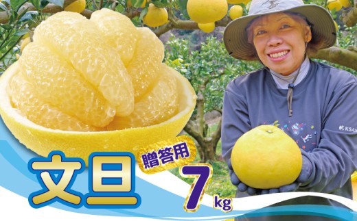 清家農園の文旦7kg（2Lサイズ）贈答用【特別栽培・農薬不使用】