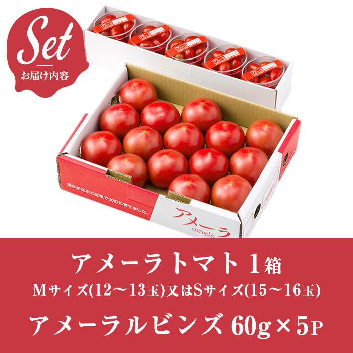 【先行予約】アメーラ＆ルビンズ5P ｜ トマト 野菜 国産