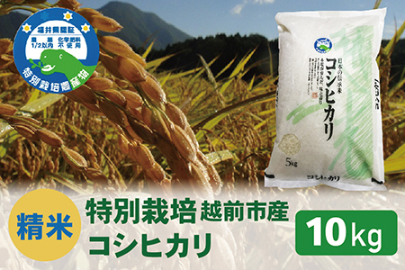 【令和8年度新米 精米】特別栽培 越前市産コシヒカリ 10kg