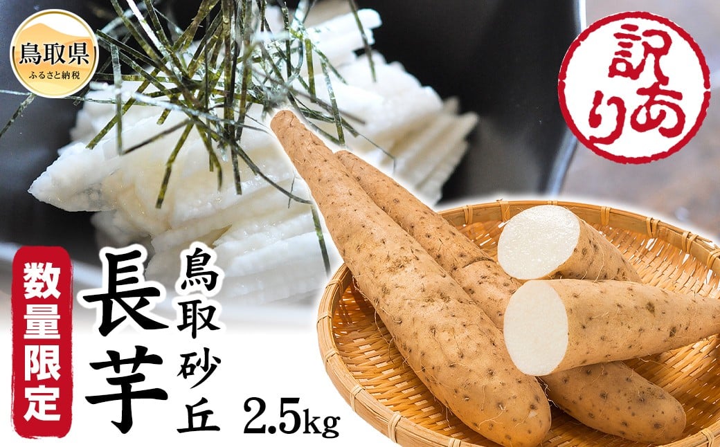 
            A24-341 訳あり鳥取砂丘長芋 2.5kg【数量限定】
          