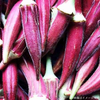 ふるさと納税 糸島市 【全3回定期便】農薬化学肥料不使用 こだわり野菜セット オーガニックナガミツファーム[AGE016] |  | 03
