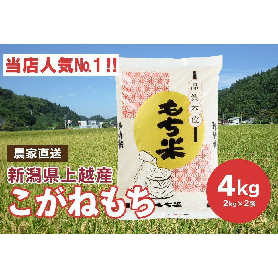 ブランドもち米「 こがねもち 」令和6年産／【精米4kg（2kg×2袋）】コガネモチ 米 お米 こめ 新潟 上越