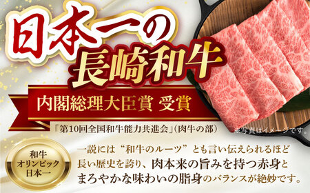 【全6回】【内閣総理大臣賞受賞！】長崎和牛 毎月お届けセット ( 希少部位アリ ) 1kg×6回 [YA20]  肉 牛肉 ロース サーロイン ステーキ サーロインステーキ レモンステーキ すき焼き 