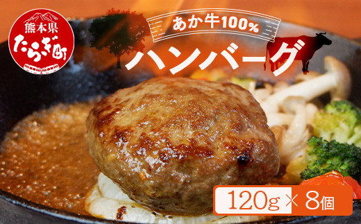 
【配送月が選べる】あか牛 100％ ハンバーグ 120g×8個 【 あか牛 牛肉 肉 熊本産 国産牛 和牛 ハンバーグ うま味 ぎっしり 熊本県 】046-0636
