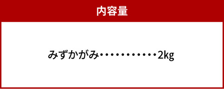 肥料屋厳選近江米みずかがみ２㎏