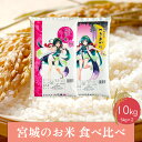 【ふるさと納税】【令和6年産】宮城のお米食べ比べ10kgセット　つや姫／つきあかり