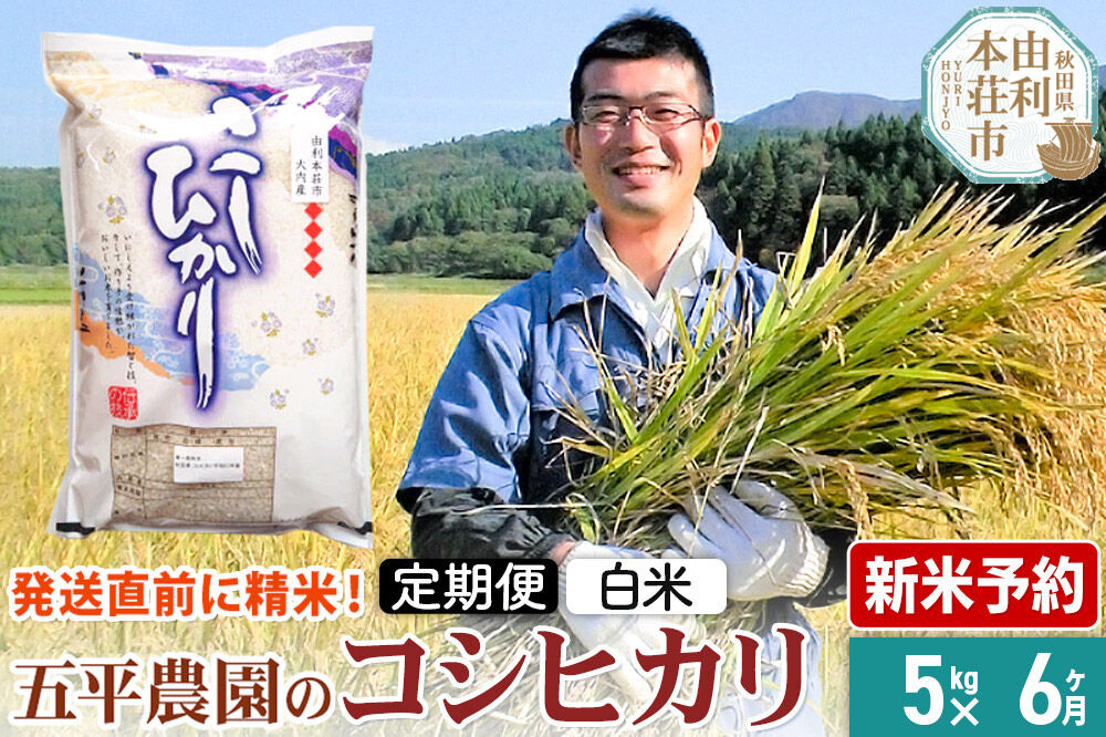 《令和8年産 新米受付》《定期便6ヶ月》【白米】コシヒカリ 5kg 秋田県産 五平農園のコシヒカリ《12月上旬発送予定》 [コシヒカリ 新米受付 米 お米 こめ 白米 精米 ブランド米 ご飯 ごはん 