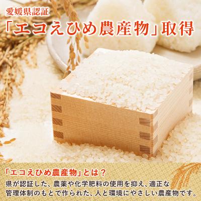 ふるさと納税 西予市 新米<令和7年産 西予市産 特別栽培米 エコえひめ コシヒカリ 白米 約5kg>国産 精米 |  | 02