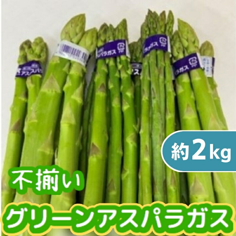 【ふるさと納税】不揃い グリーン アスパラガス 約2kg 野菜 グリーンアスパラガス 　お届け：2026年6月中旬～10月上旬