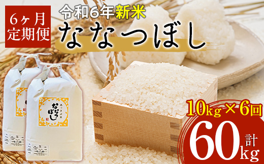 【令和6年産 新米】北海道厚沢部産ななつぼし60kg（10kg×6ヶ月連続お届け） ASG023