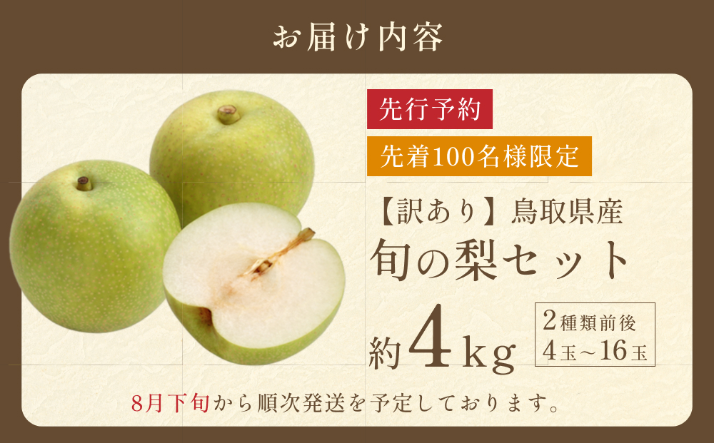 先行予約 訳あり 鳥取県産旬の梨セット 4kg｜鳥取 果物 フルーツ なし 梨【41044】