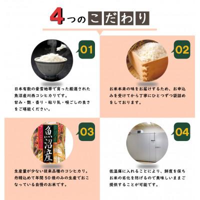 ふるさと納税 十日町市 数量限定　従来品種　魚沼産コシヒカリ　万寿　5kg×2袋　令和6年産米 |  | 01
