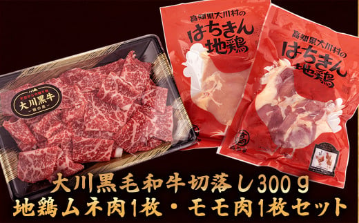 
肉 牛肉 国産 黒毛 和牛 切り落とし 300g 鶏肉 もも むね お得 パック 詰め合わせ 土佐はちきん地鶏 希少 幻の大川黒毛和牛 ブランド鶏 土佐はちきん地鶏 高知県 須崎市
