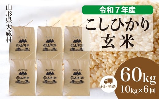 
                  ＜令和7年産米＞ こしひかり 【玄米】 60kg定期便 （10kg×6回発送）＜配送時期選べます＞
                