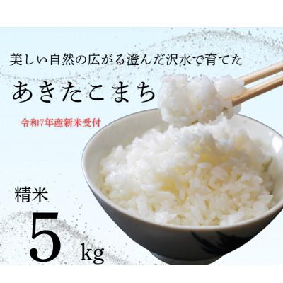 ふるさと納税 大仙市 秋田県大仙市産 沢水で育てた あきたこまち【精米】5kg(令和8年10月上旬以降発送予定)