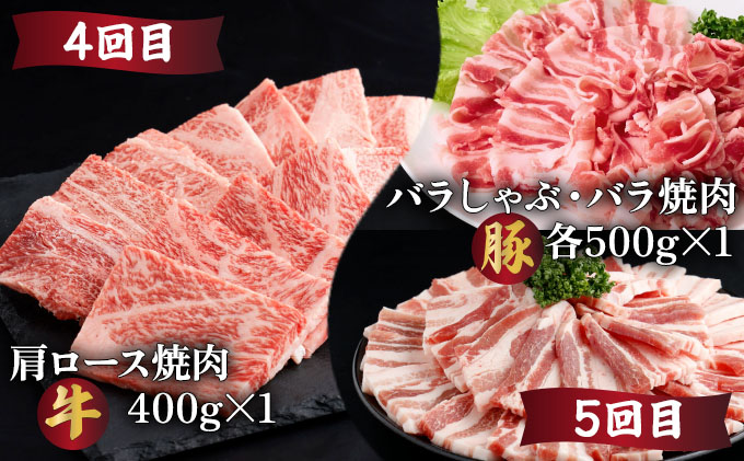 【定期便・全6回】宮崎牛・宮崎県産豚肉 6ヶ月定期便！（合計6.9kg） ロース ウデ バラ モモ 小間切れ とんかつ 焼肉 しゃぶしゃぶ BBQ 宮崎県【MCT6UB-69】