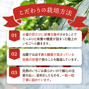 ★先行予約★はたやの新鮮いちご＆果肉入りジャムのセット[1月中旬より順次発送]【2601C09701】