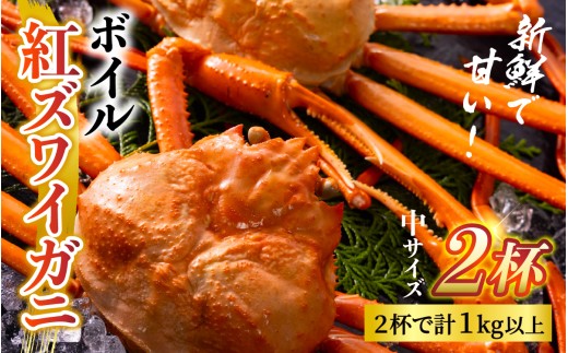 【順次配送中】ボイル紅ズワイガニ 【25年度9月下旬以降順次配送】【川村水産】※発送前に在宅確認の電話連絡をいたします!　新鮮でみずみずしい甘さがぎゅっと詰まった「富山湾の朝陽」