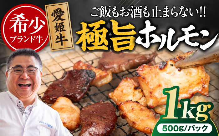 【冷凍】 愛姫牛 肉屋のこだわりお惣菜 タレ漬けミックスホルモン 500g×2パック 1kg 愛媛県大洲市/有限会社 木村屋精肉店 [AGCC068]牛肉 和牛 牛 国産 国産和牛 愛媛県産 大洲市産 人気 おすすめ ランキング 簡単 おいしい お肉 肉 国産肉 焼肉 送料無料 お取り寄せ グルメ ホルモン 冷凍 焼き肉 BBQ バーベキュー ホルモン焼きそば ホルモン炒め