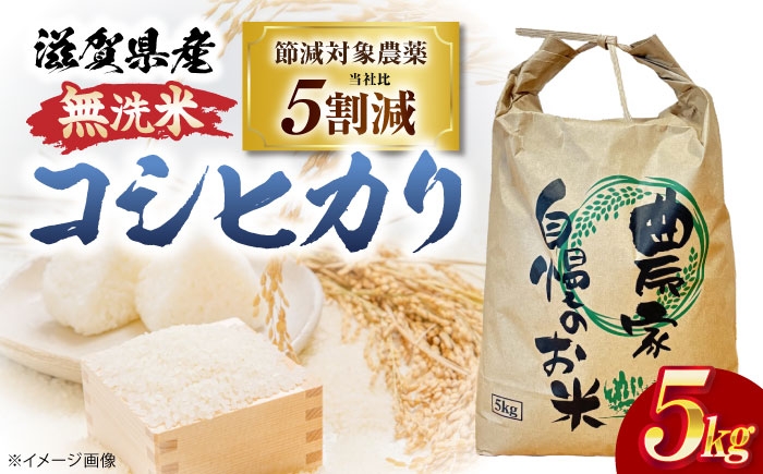 
                  【令和8年産 新米】 無洗米 コシヒカリ 5kg 滋賀県長浜市/狩野農園 [AQDK003] 米 お米 無洗米 コシヒカリ こしひかり 5kg 米 5kg 無洗米 5kg コメ ご飯  滋賀県産 長浜市産 こめ 精米  食品 国産 炊きたて 米ギフト もちもち ブランド米 食卓 美味しい 人気 ごはん ご飯 おにぎり 炊き込みご飯 おすすめ 白米 5キロ
                