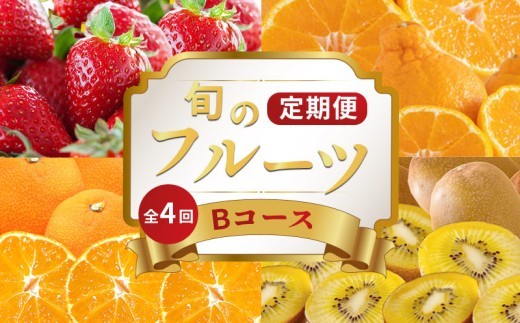 旬のフルーツ 定期便 4回 Bコース 果物 フルーツ いちご 苺 キウイ さぬきゴールド ゴールドキウイ 小原紅早生みかん みかん デコポン 不知火 柑橘 蜜柑 スイーツ デザート ケーキ ゼリー ジ