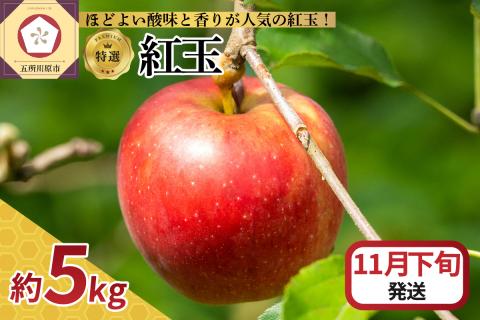 【2026年11月下旬発送】 【特選】りんご 5kg 紅玉 青森